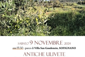 ANTICHE ULIVETE E RACCONTI CONTADINI - Sofignano 9 novembre 2024